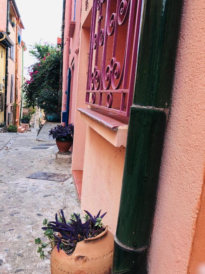 Appartement Dans Le Quartier Recherche Du Moure Collioure Exterior foto