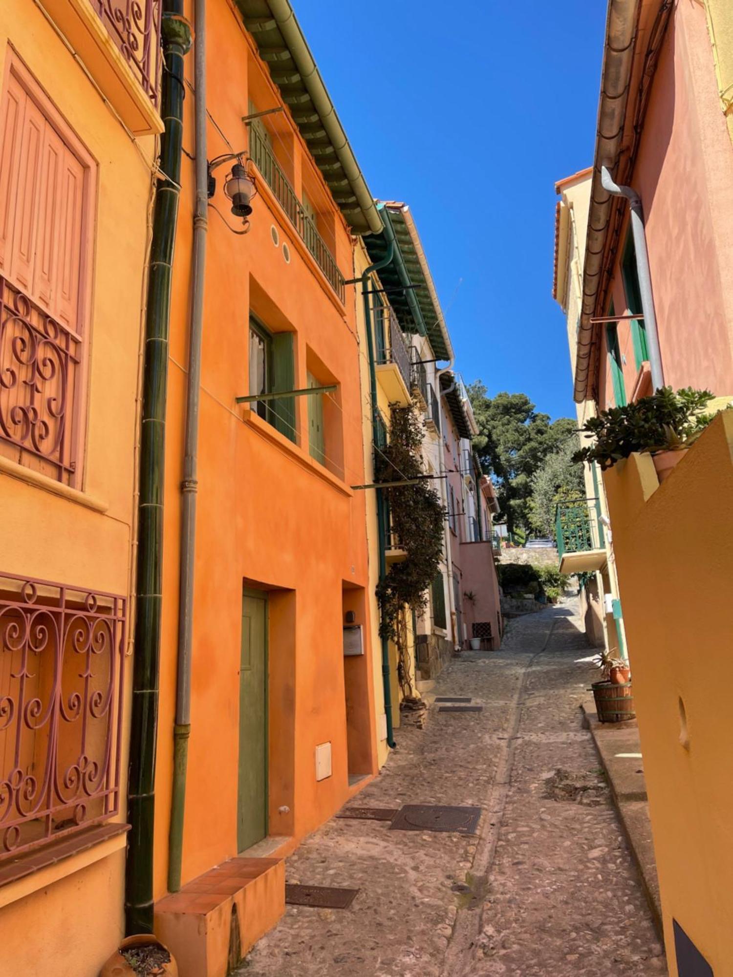 Appartement Dans Le Quartier Recherche Du Moure Collioure Exterior foto
