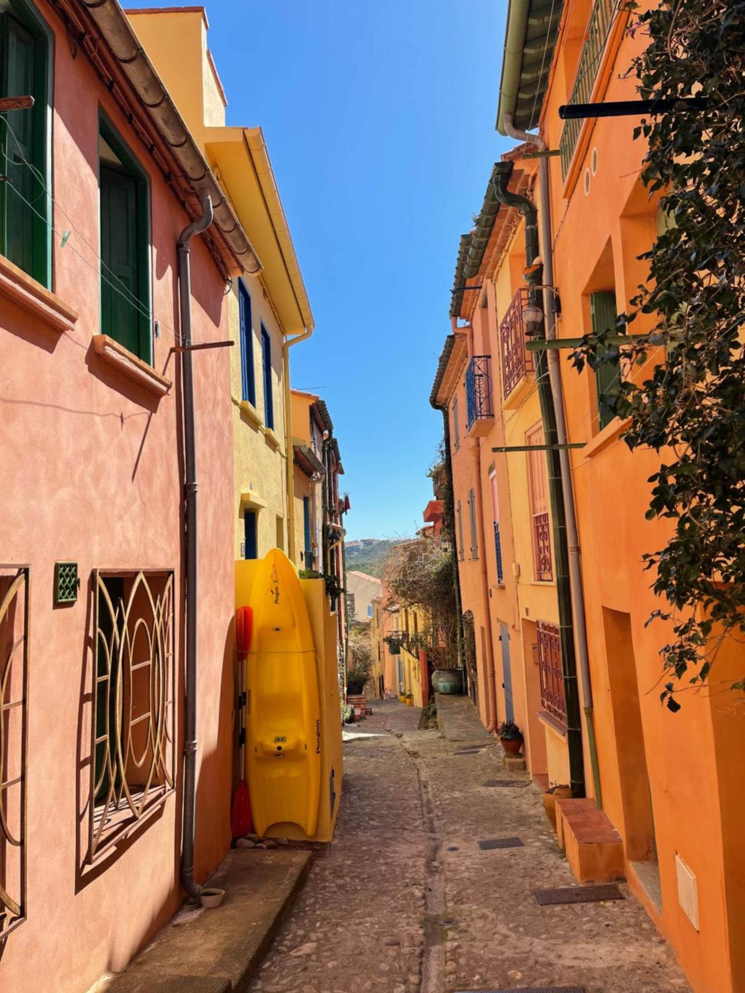 Appartement Dans Le Quartier Recherche Du Moure Collioure Exterior foto